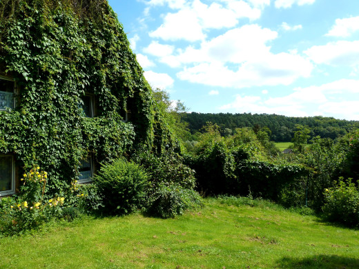 656996 (a): :2560x1920
